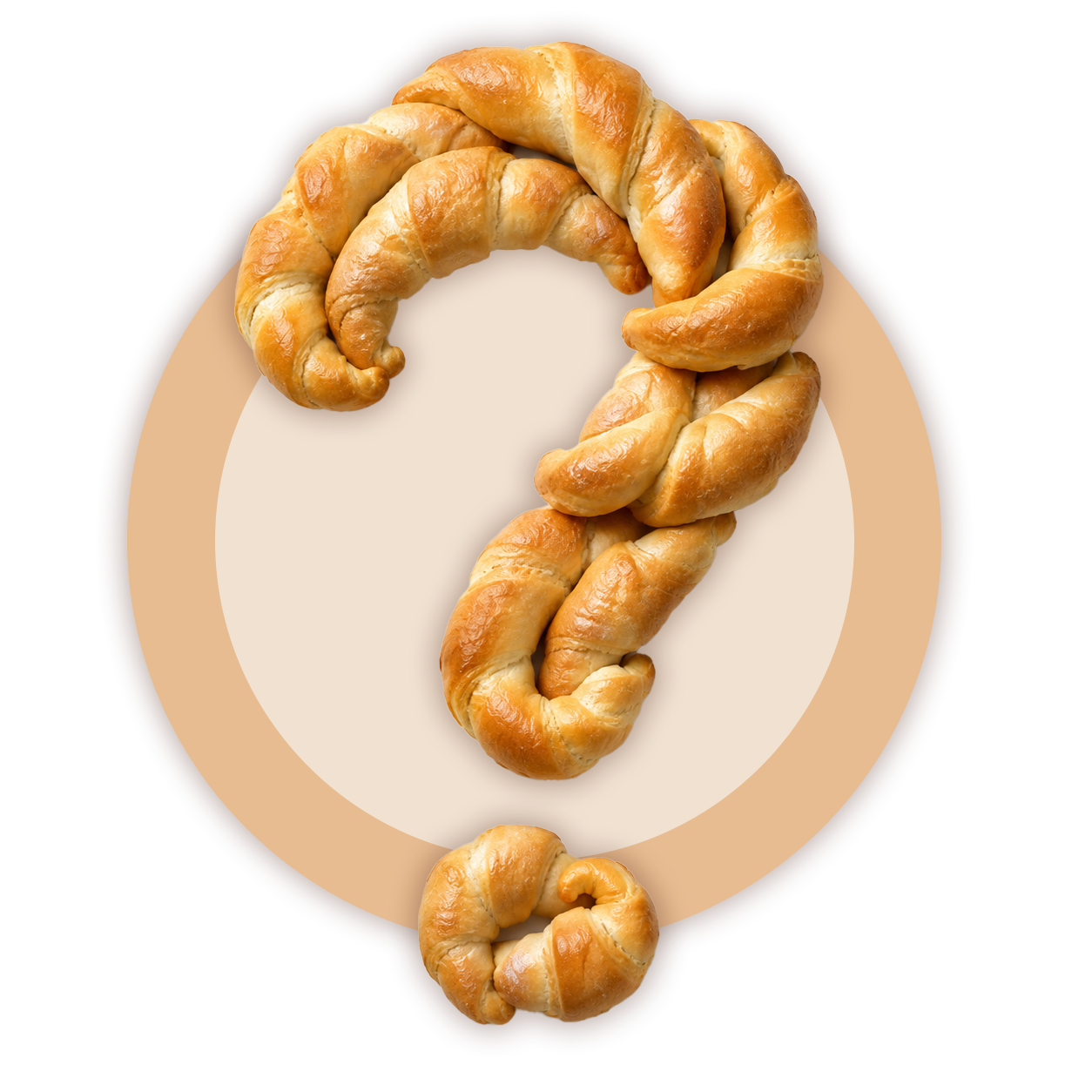 section2-image